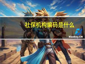 社保机构编码是什么