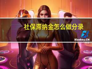 社保滞纳金怎么做分录