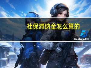社保滞纳金怎么算的