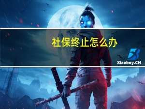 社保终止怎么办