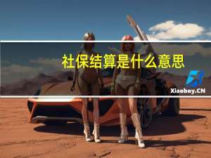 社保结算是什么意思
