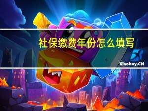 社保缴费年份怎么填写