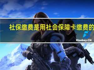 社保缴费是用社会保障卡缴费的吗
