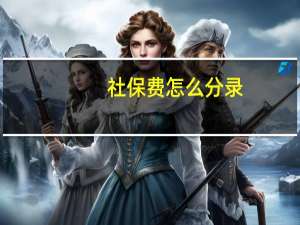 社保费怎么分录