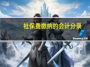社保费缴纳的会计分录（社保缴纳会计分录）