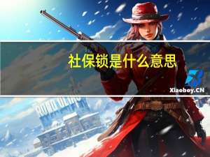社保锁是什么意思