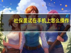 社保面试在手机上怎么操作