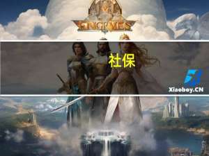 社保（关于社保的介绍）