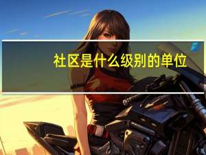 社区是什么级别的单位