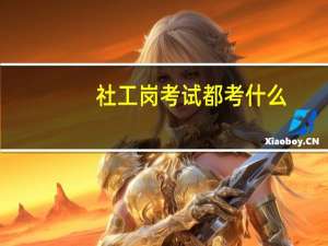 社工岗考试都考什么