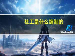 社工是什么编制的（社工是什么编制）