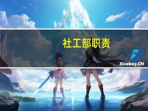 社工部职责