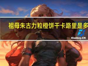 祖母 朱古力粒橙饼干卡路里是多少