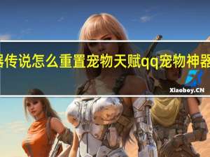 神器传说怎么重置宠物天赋 qq宠物神器传说攻略