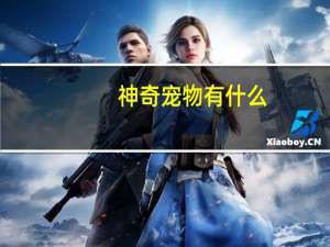 神奇宠物有什么
