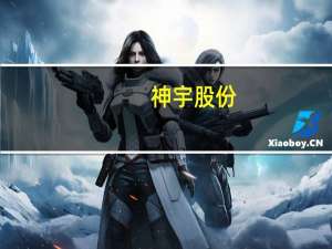 神宇股份：设立香港全资子公司投资金额220万美元