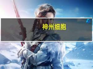 神州细胞：上半年净亏损1.38亿元上年同期净亏损2.5亿元