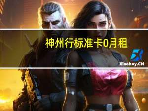 神州行标准卡0月租（神州行标准卡）