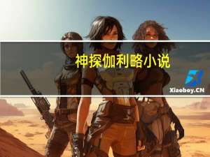 神探伽利略小说（神探伽利略小说）