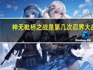 神无毗桥之战是第几次忍界大战（神无毗桥之战）