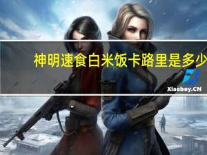 神明 速食白米饭卡路里是多少