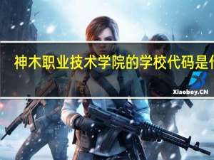 神木职业技术学院的学校代码是什么