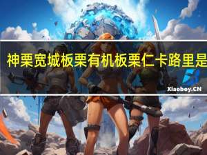 神栗 宽城板栗 有机板栗仁卡路里是多少