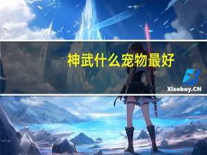 神武什么宠物最好