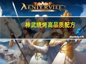 神武烧烤高品质配方（神武烧烤40品质配方）