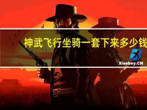 神武飞行坐骑一套下来多少钱（神武飞行坐骑）