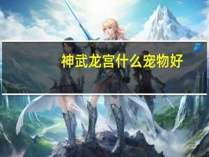 神武龙宫什么宠物好