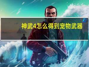 神武4怎么得到宠物武器