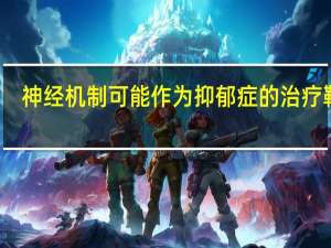 神经机制可能作为抑郁症的治疗靶点