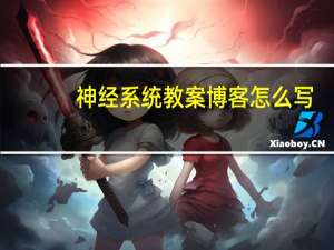 神经系统教案博客怎么写