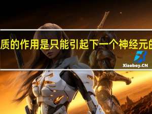 神经递质的作用是只能引起下一个神经元的兴奋或抑制