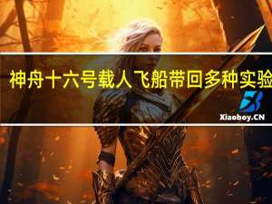 神舟十六号载人飞船带回多种实验样品