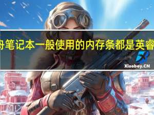 神舟笔记本一般使用的内存条都是英睿达内存条