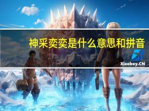 神采奕奕是什么意思和拼音（神采奕奕是什么意思）