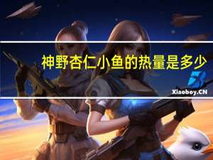 神野 杏仁小鱼的热量是多少