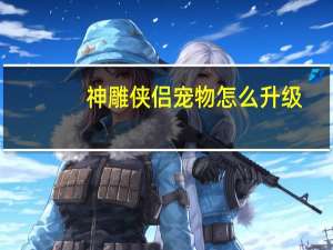 神雕侠侣宠物怎么升级