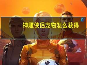 神雕侠侣宠物怎么获得