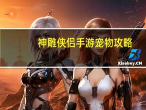 神雕侠侣手游宠物攻略