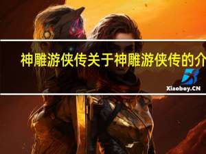 神雕游侠传 关于神雕游侠传的介绍