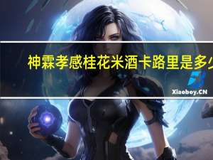 神 霖 孝感桂花米酒卡路里是多少