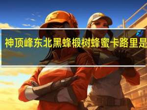 神顶峰 东北黑蜂椴树蜂蜜卡路里是多少