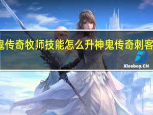 神鬼传奇牧师技能怎么升 神鬼传奇刺客怎么加点