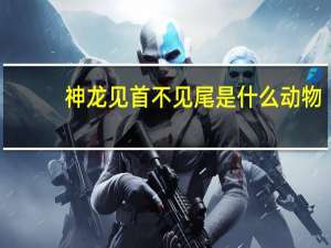 神龙见首不见尾是什么动物