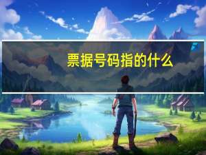 票据号码指的什么