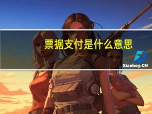 票据支付是什么意思