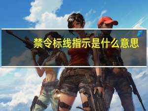 禁令标线指示是什么意思